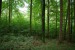 lesní hospodářství v Rentweinsdorfu